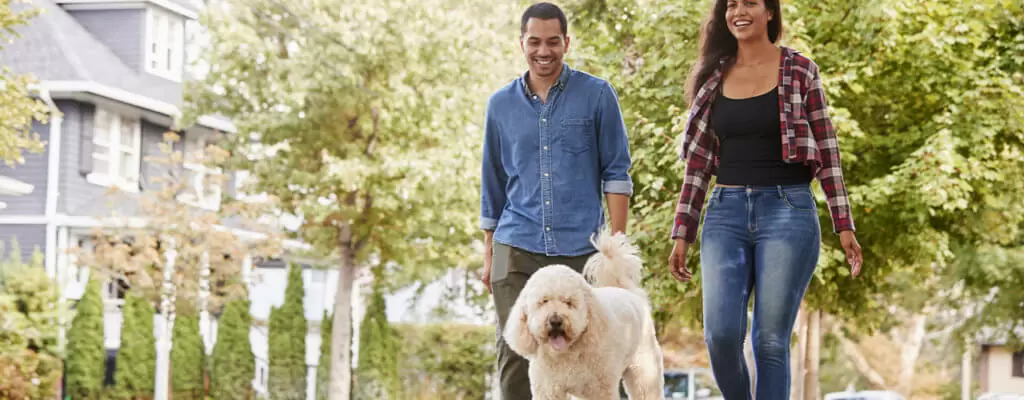 Blog 2 Stay Active 1280x500